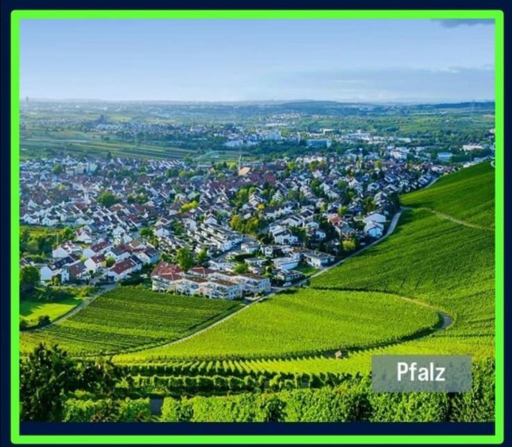 Ferienwohnung Forest & Wein Neustadt an der Weinstraße 部屋 写真
